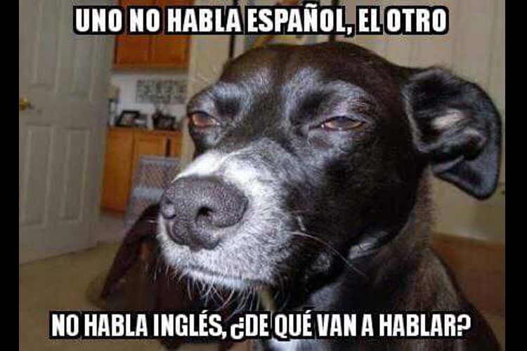 memes visita donald trump 2