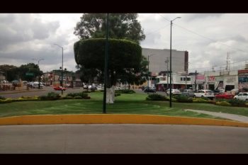 embellecen-plazas-y-jardines-morelia-1