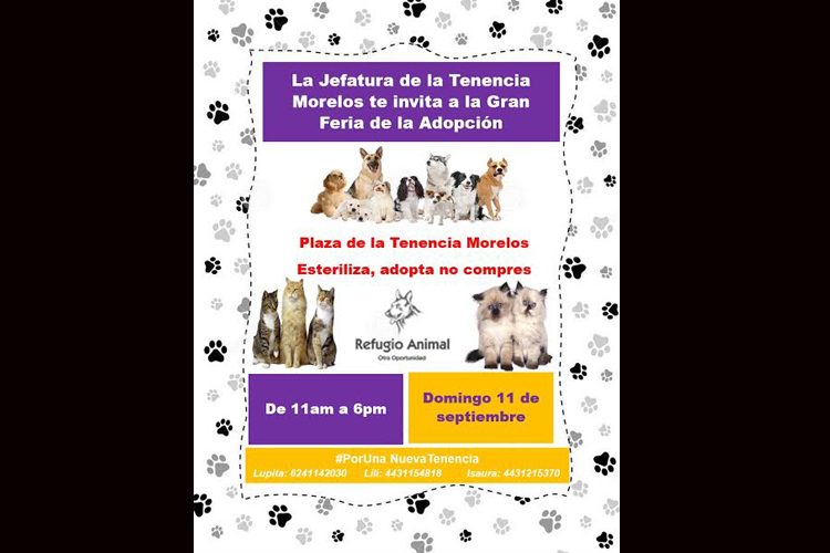Feria-De-Adopción-Canina-En-La-Tenencia-Morelos
