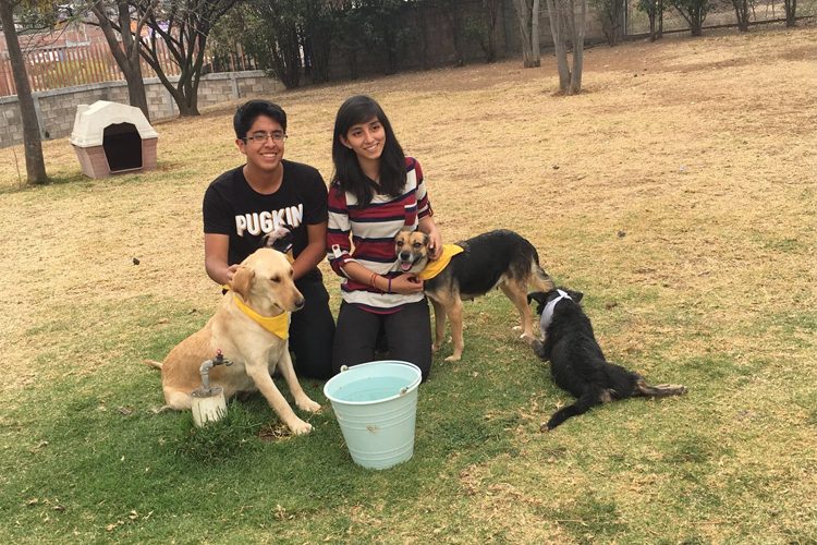 Impulso-sin-precedentes-al-cuidado-animal-en-Morelia-1