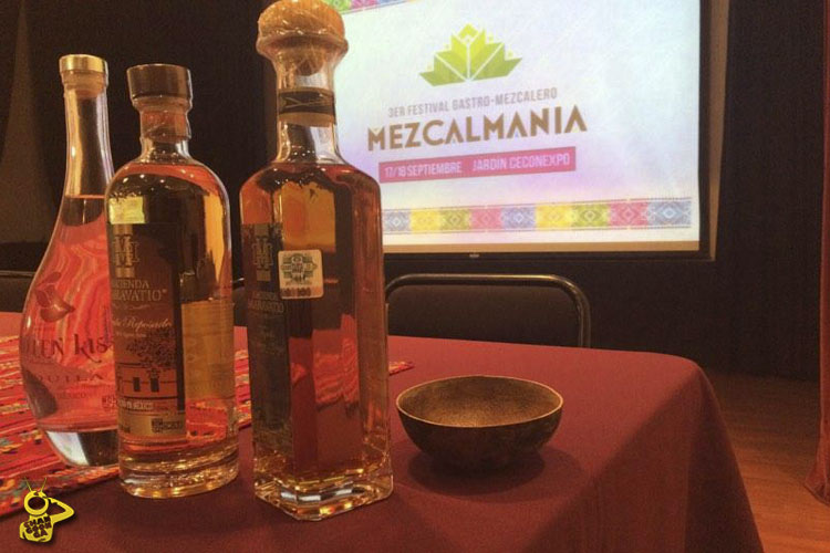 mezcalmania-michoacan