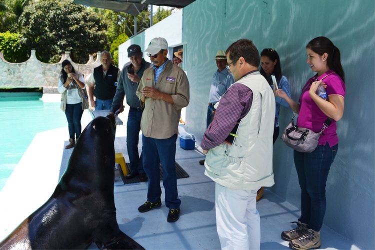 Recibe-Zoo-De-Morelia-A-Representante-Disney-Kingdom--2