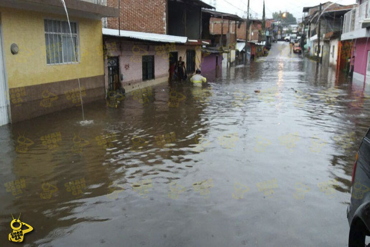 basura-inundacion-5