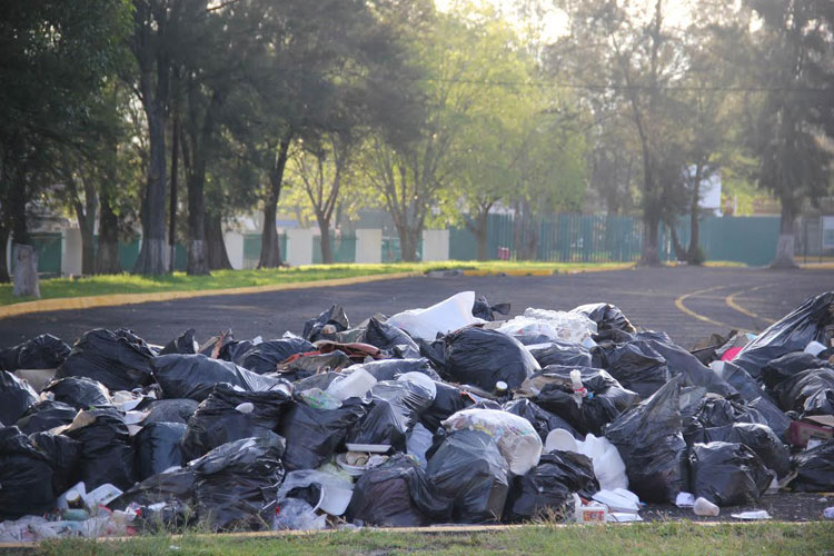 basura-rechazados-cu-umsnh