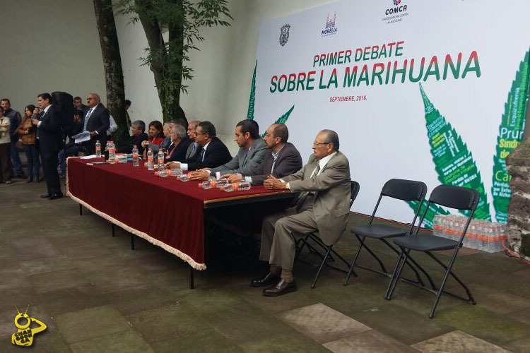 debate uso marihuana