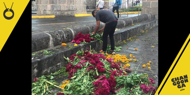 cempasuchil-para-decorar-parte-de-acueducto-2