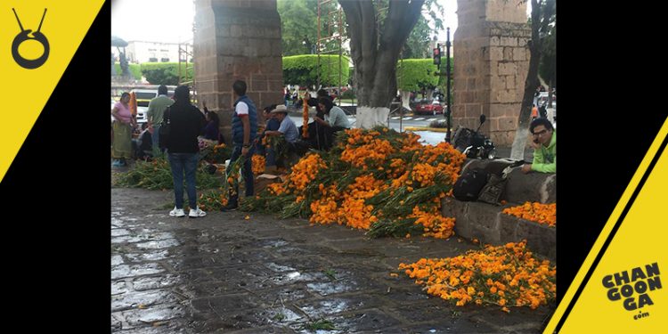 cempasuchil-para-decorar-parte-de-acueducto-3