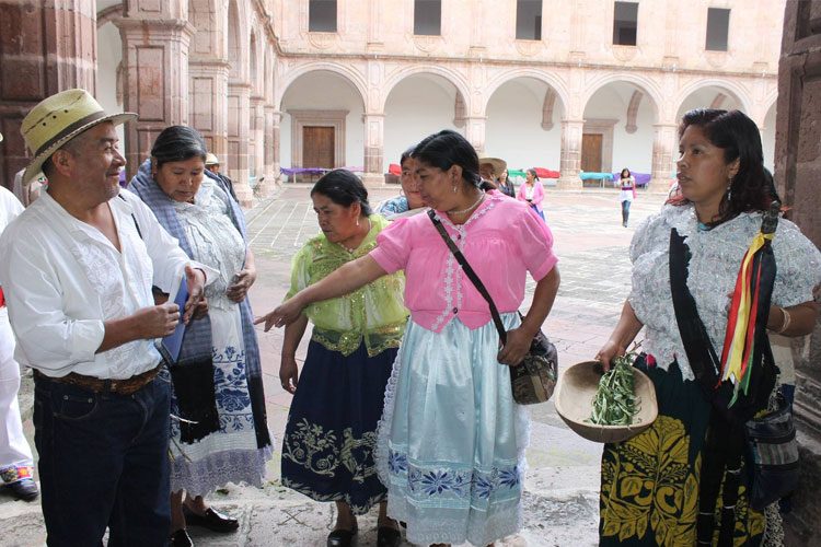 medicina-indigena-tradicional-en-morelia-1