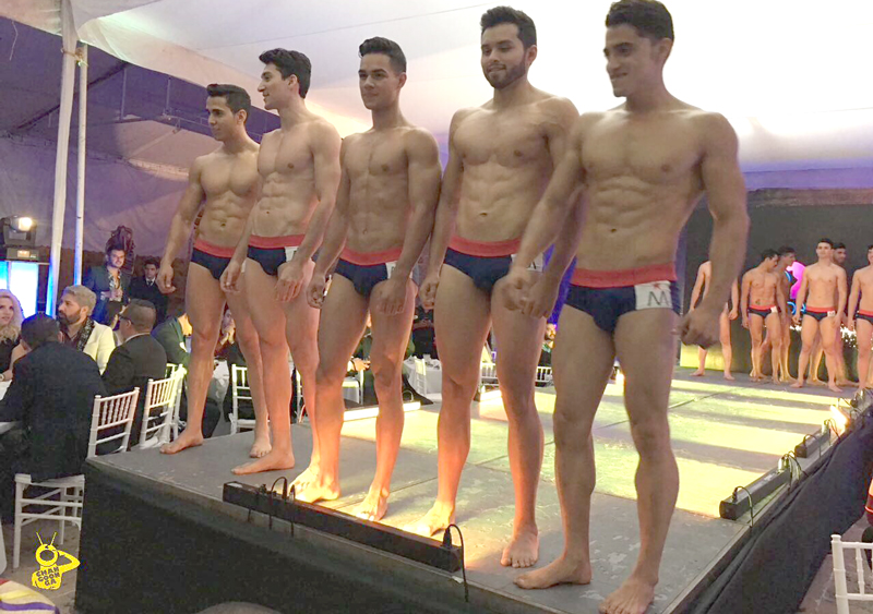 mr-model-2016-morelia-mexico