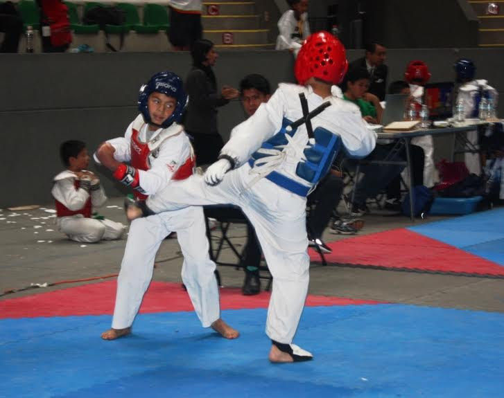 Taekwondo