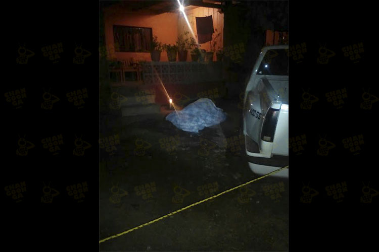 balean-a-hombre-en-ario