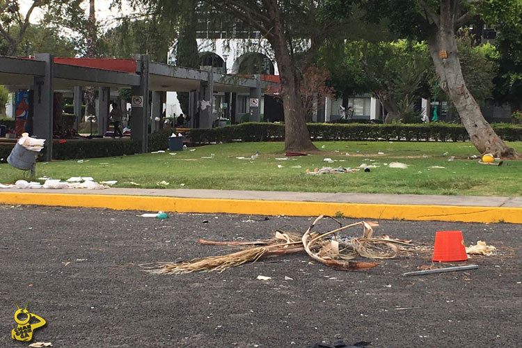 basura-ciudad-universitaria