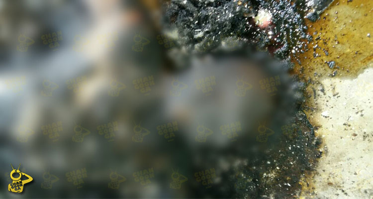 cuerpo-carbonizado-aquila