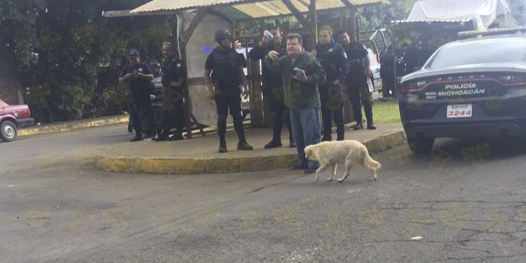 uruapan-conflicto-aguacateros