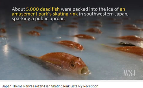 5-mil-animales-marinos-parque-tematico-japon