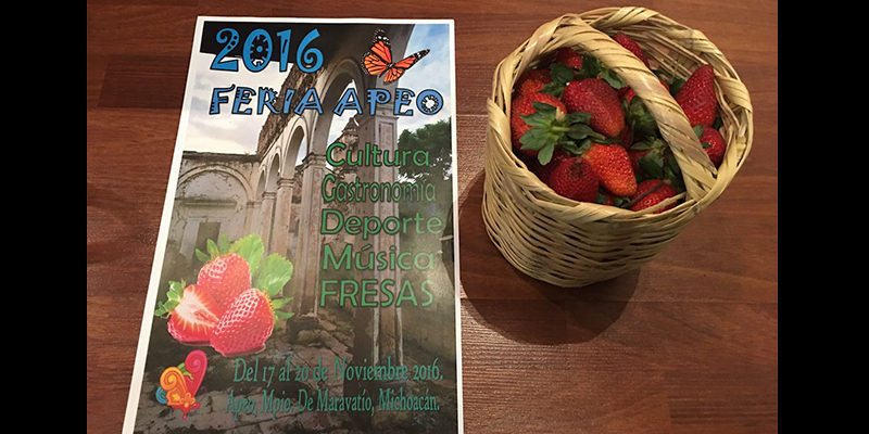 apeo-celebrara-su-feria-2016-fresas-4