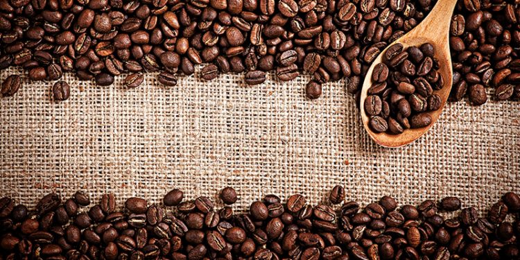 cafe-en-peligro-de-extincion-2