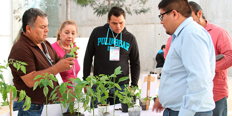 dif-michoacan-imparte-taller-para-instalacion-de-huertos-escolares