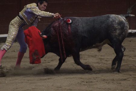 anti-taurinos-michoacan