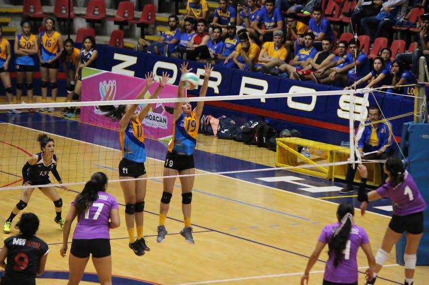 campeonato-voleibol-3