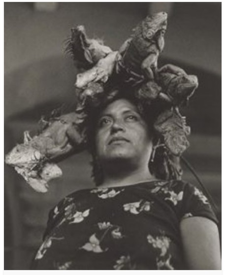 uestra señora de las iguanas, Juchitán”, Graciela Iturbide 