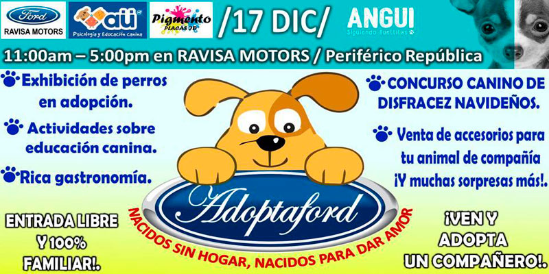 evento-adopcion-angui