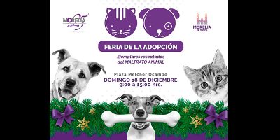 feria-de-adopcion-en-la-plaza-melchor-ocampo