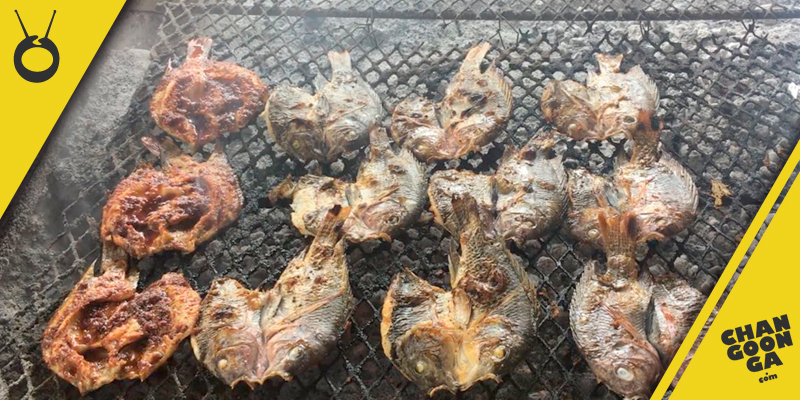 Feria-de-la-mojarra-Churumuco