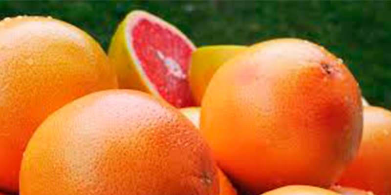 michoacan-segundo-productor-nacional-de-toronja