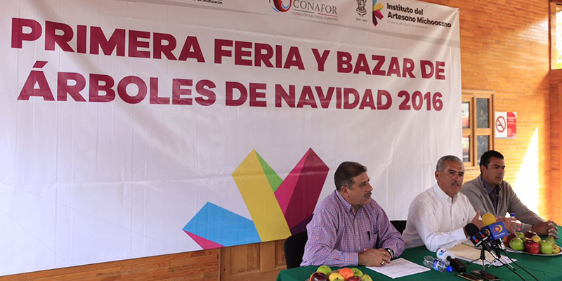 primera-feria-y-bazar-de-arboles-de-navidad-en-morelia-1