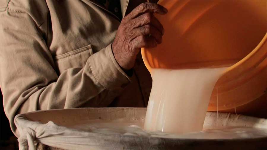 Pulque