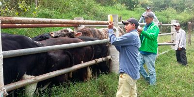recursos-para-mejora-genetica-del-ganado