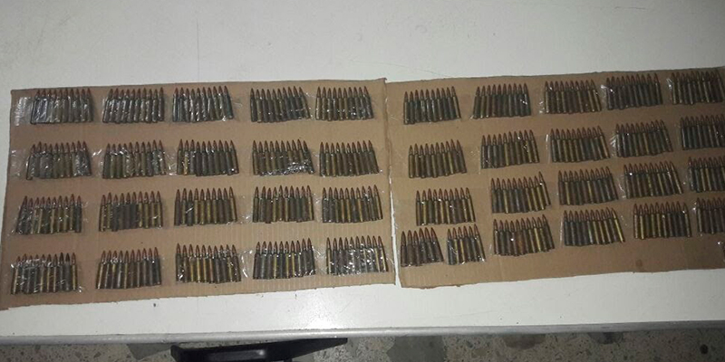 sedena-y-ssp-destruyen-plantio-de-mota-en-arteaga-2