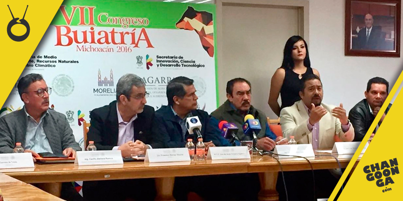 VII Congreso De Buiatría