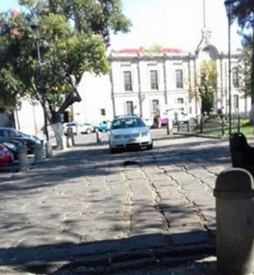 denunciamesta-don-vergas-derecho