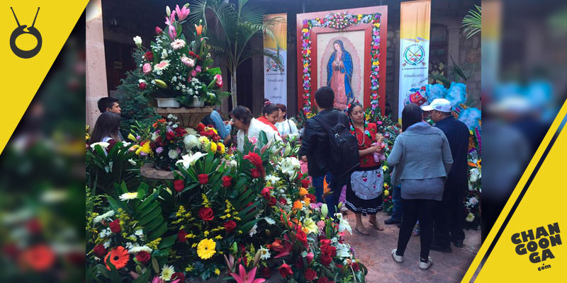 flores-virgen-de-guadalupe