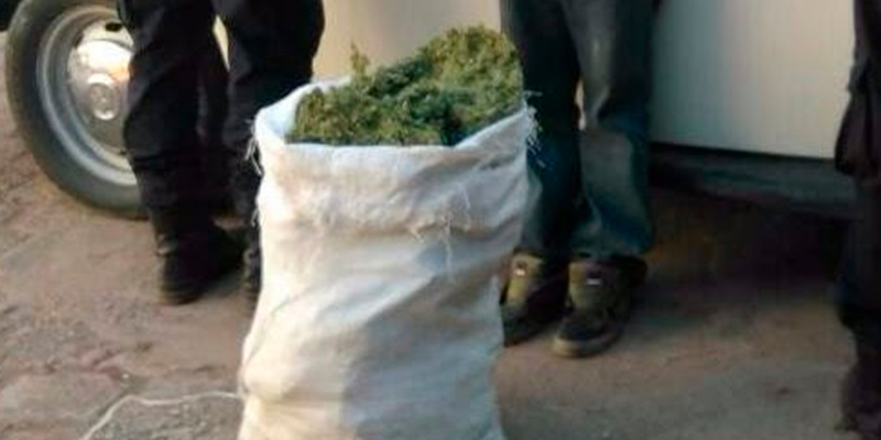 Asegura-SSP-13-Kilogramos-De-Marihuana-En-Tiquicheo