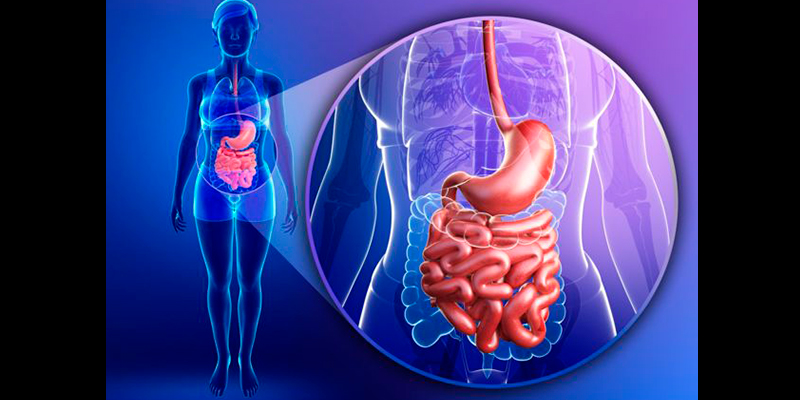 Chécate-El-´Nuevo-Órgano´-Del-Cuerpo-Humano-3