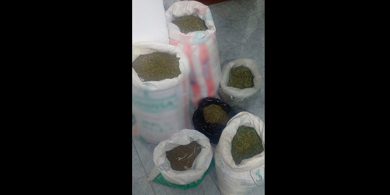 #Michoacán-Asegura-SSP-30-Kilos-De-Semilla-De-Mota-En-Hidalgo-1