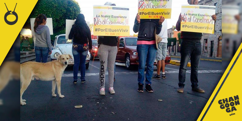 manifestacion-gasolinazo-perro-Morelia