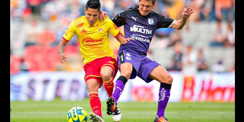 queretaro-monarcas