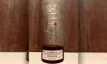 reconocimiento-Michoacan-2
