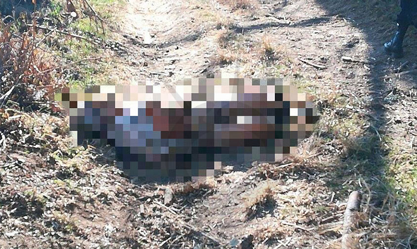 Erongarícuaro-mujer-muerta-violencia