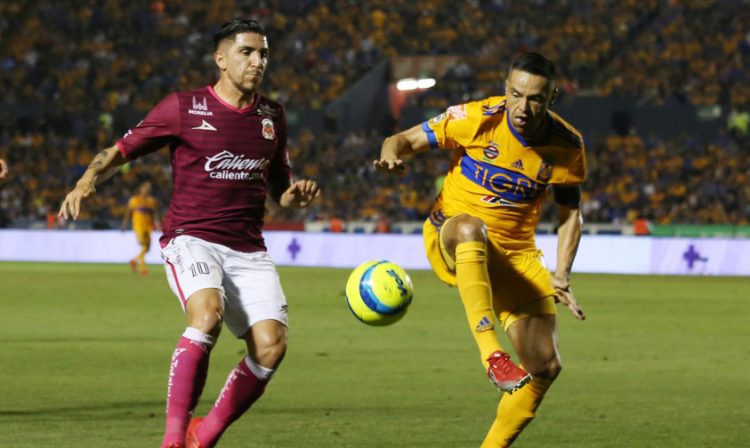 Monarcas Morelia Tigres