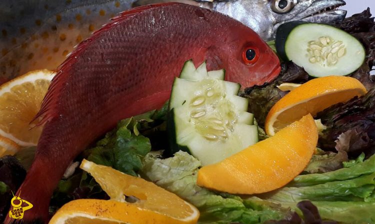 Pescado mariscos cuaresma