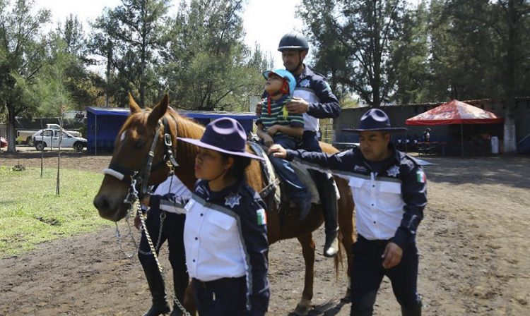 Equinoterapia