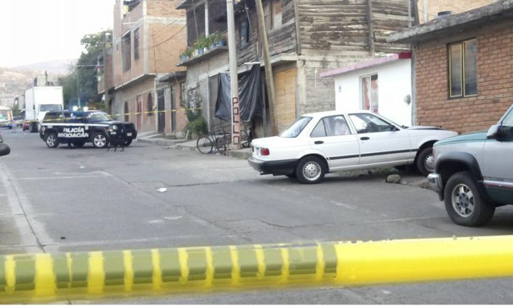 Morelia matar