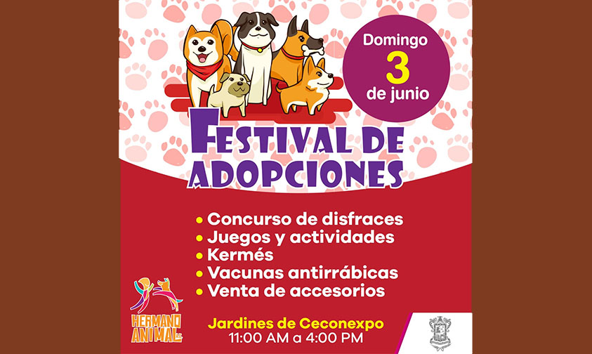 festival adopciones Morelia