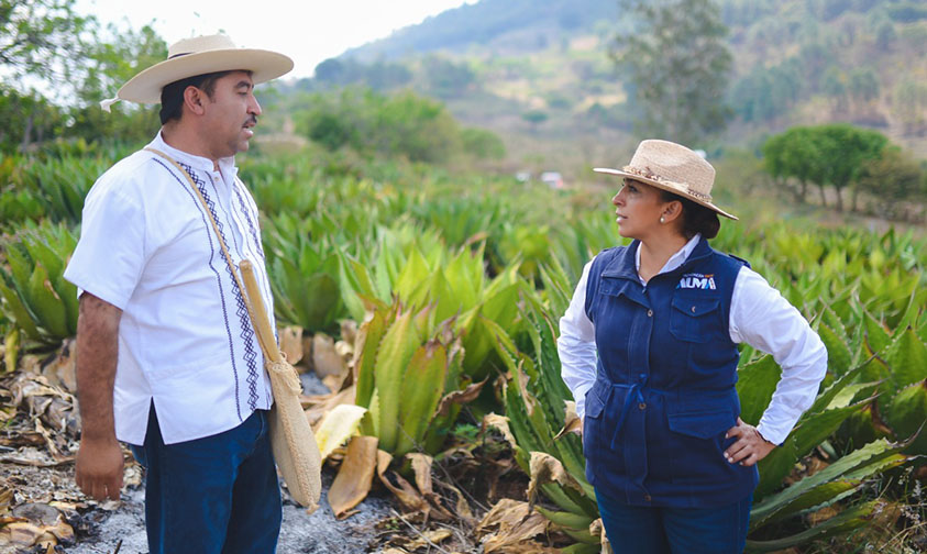 Alma Mireya González mezcaleros