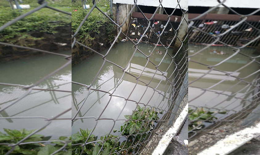 Morelia basura inundaciones